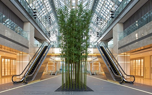 环球金融中心实拍图2